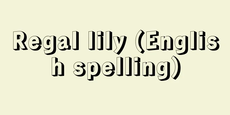 Regal lily (English spelling)