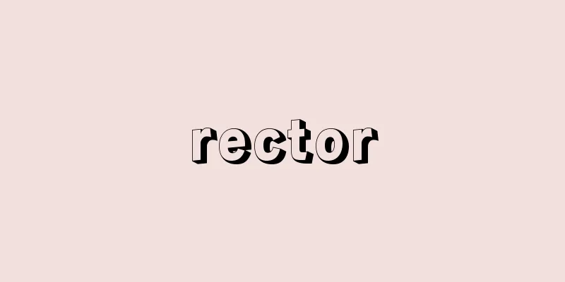 rector