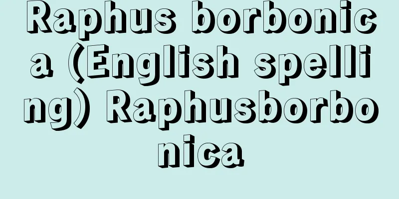 Raphus borbonica (English spelling) Raphusborbonica