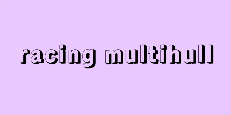 racing multihull