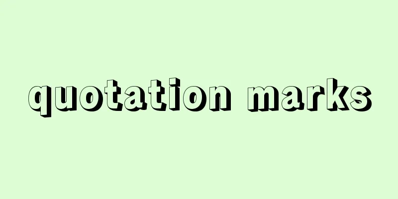 quotation marks