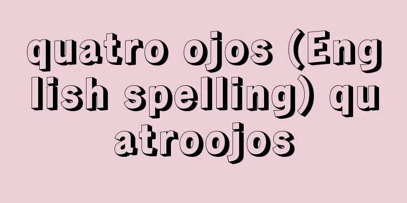 quatro ojos (English spelling) quatroojos