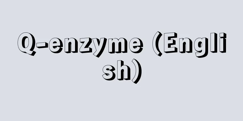 Q-enzyme (English)