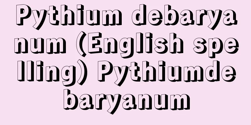 Pythium debaryanum (English spelling) Pythiumdebaryanum