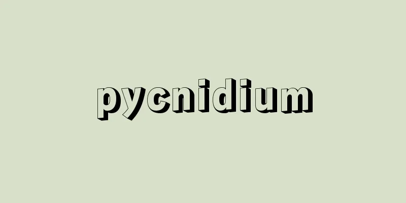 pycnidium