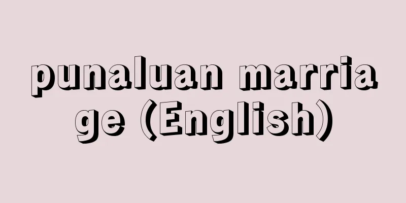 punaluan marriage (English)