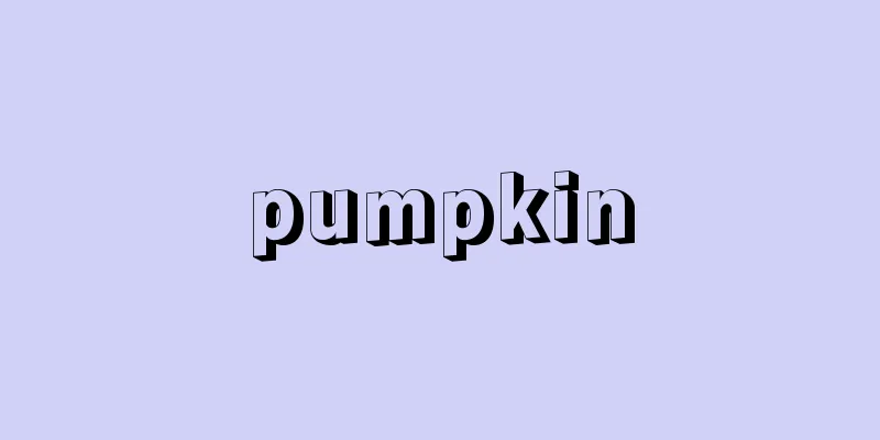 pumpkin