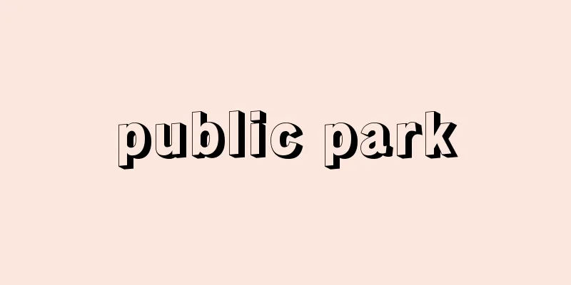 public park