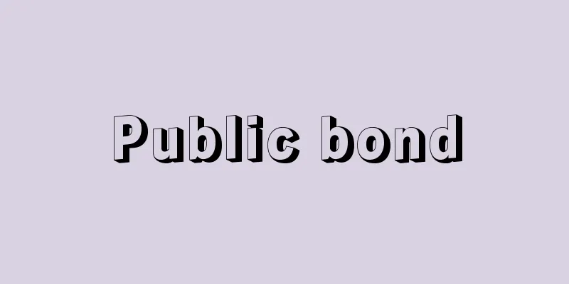Public bond