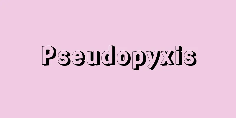 Pseudopyxis