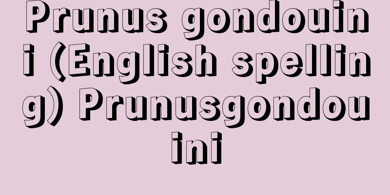 Prunus gondouini (English spelling) Prunusgondouini