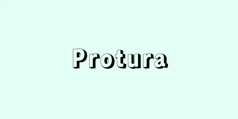 Protura