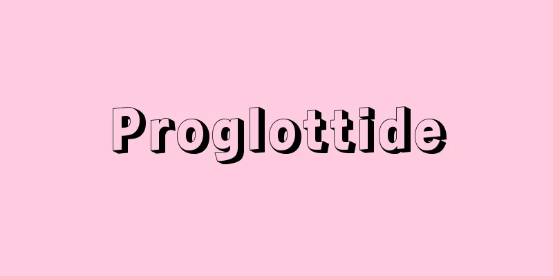 Proglottide