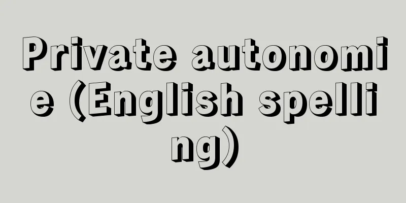 Private autonomie (English spelling)