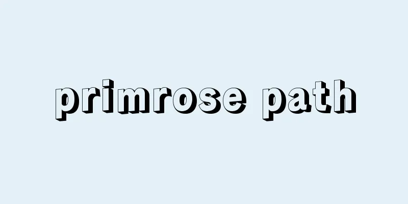 primrose path