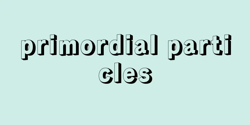 primordial particles
