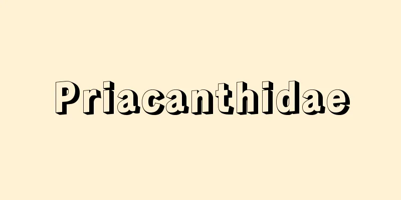 Priacanthidae