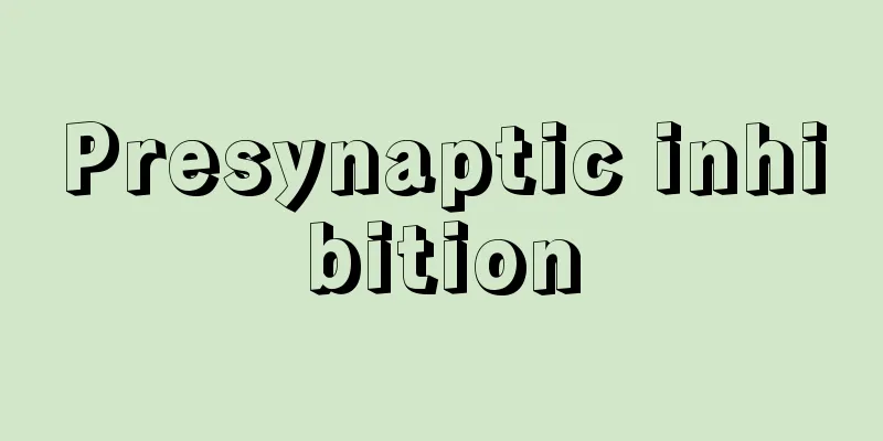 Presynaptic inhibition