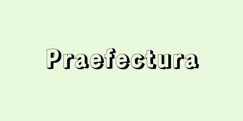 Praefectura