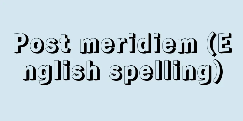 Post meridiem (English spelling)