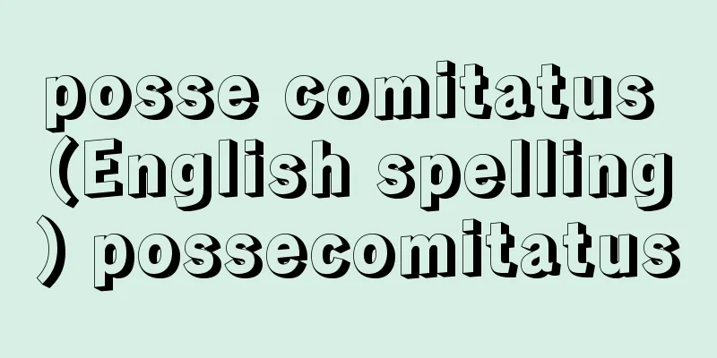 posse comitatus (English spelling) possecomitatus