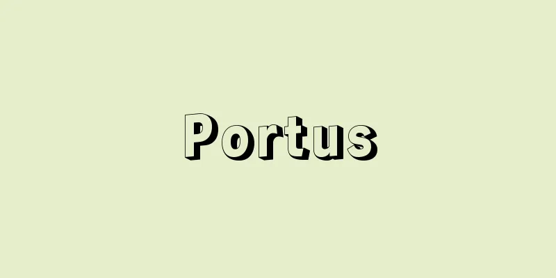 Portus