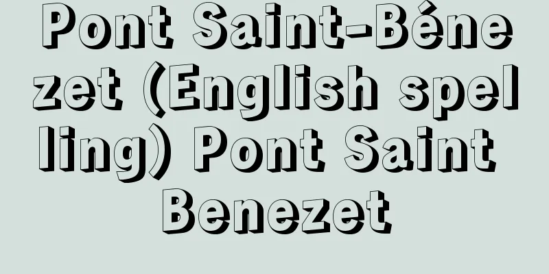 Pont Saint-Bénezet (English spelling) Pont Saint Benezet