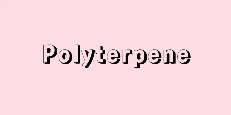 Polyterpene
