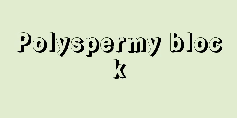 Polyspermy block