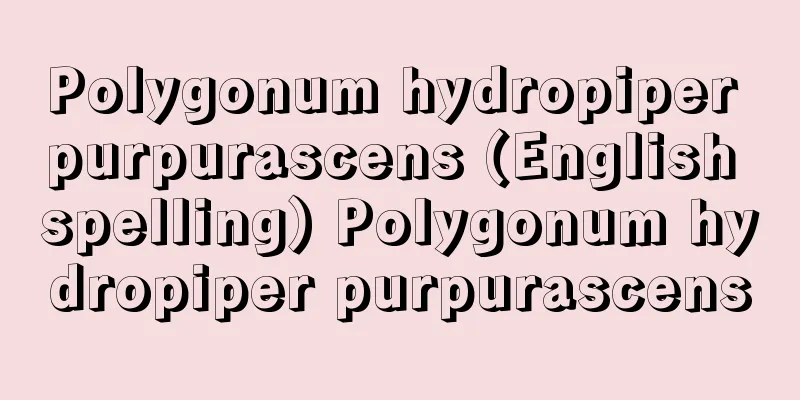 Polygonum hydropiper purpurascens (English spelling) Polygonum hydropiper purpurascens
