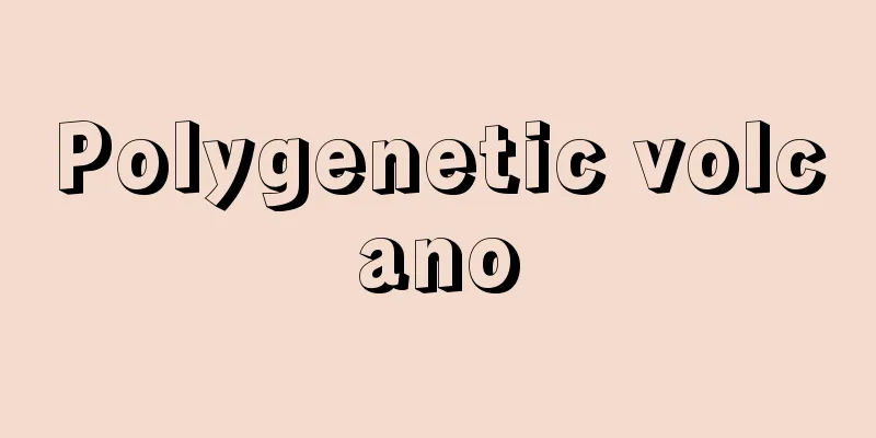 Polygenetic volcano