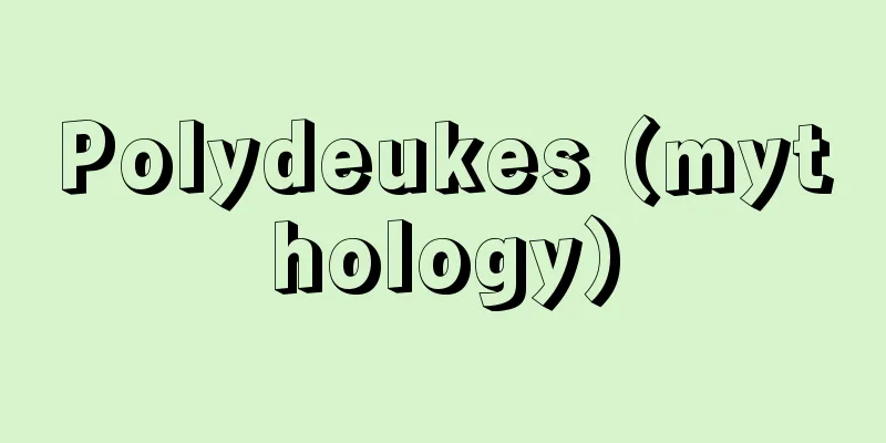 Polydeukes (mythology)