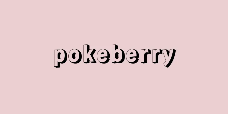 pokeberry