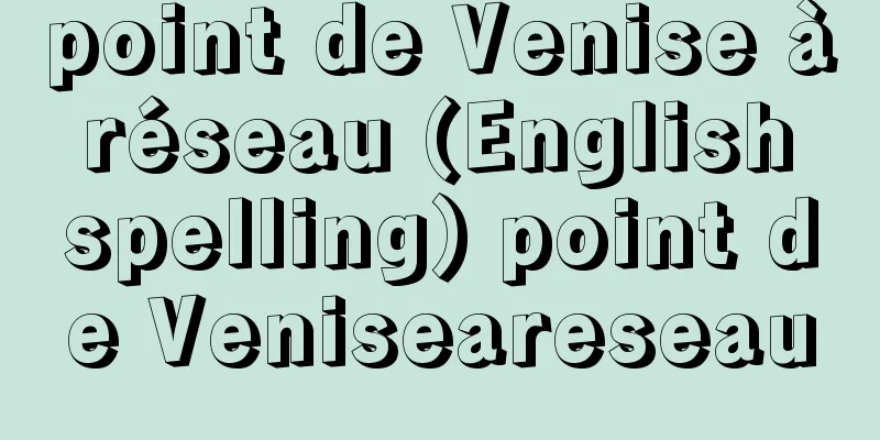 point de Venise à réseau (English spelling) point de Veniseareseau