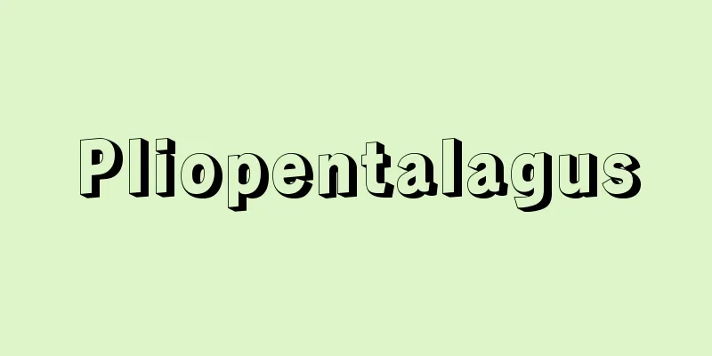 Pliopentalagus