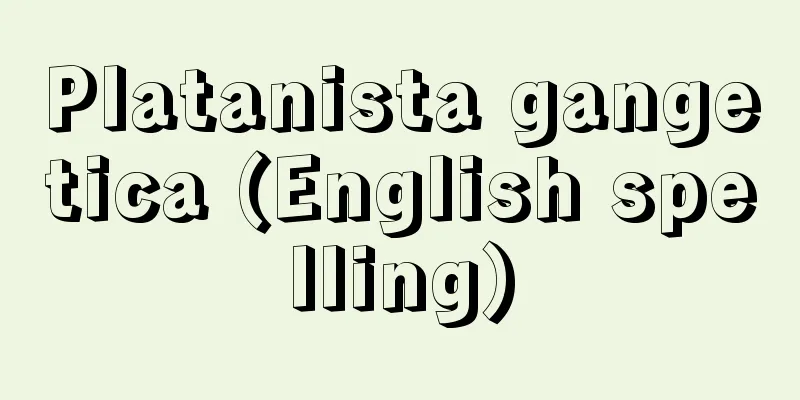 Platanista gangetica (English spelling)