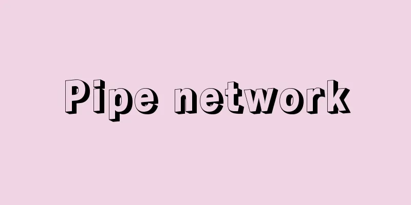 Pipe network