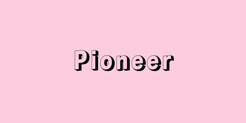 Pioneer