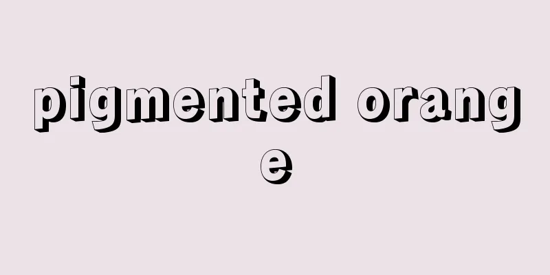 pigmented orange