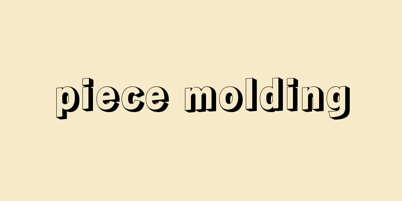 piece molding