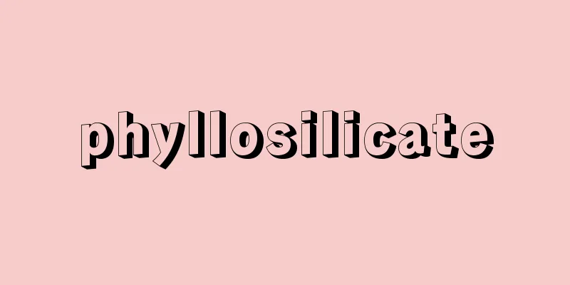 phyllosilicate