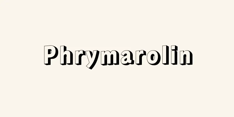 Phrymarolin