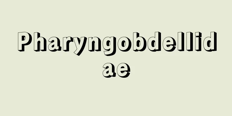 Pharyngobdellidae