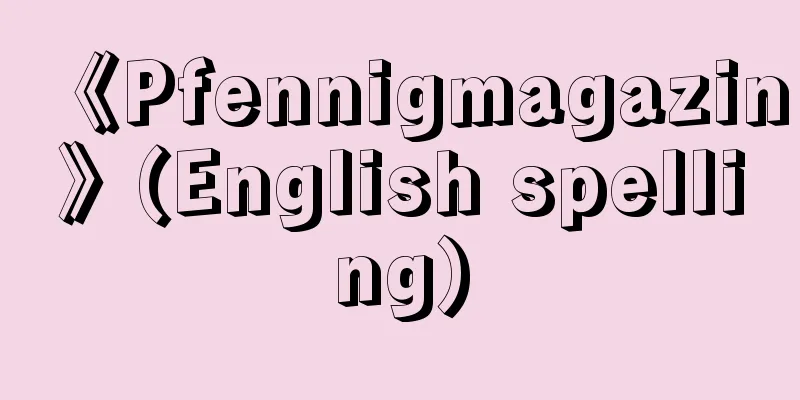 《Pfennigmagazin》(English spelling)