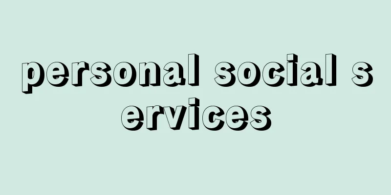 personal social services