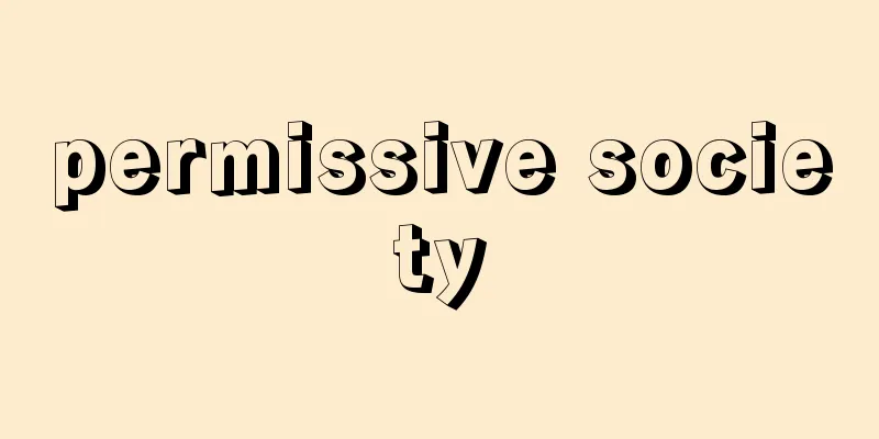 permissive society