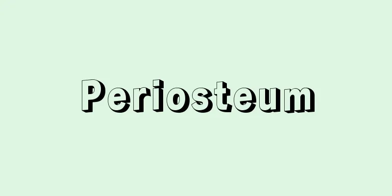 Periosteum