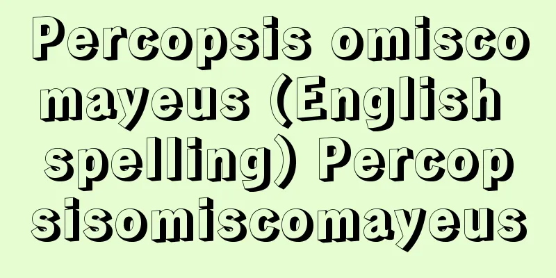 Percopsis omiscomayeus (English spelling) Percopsisomiscomayeus