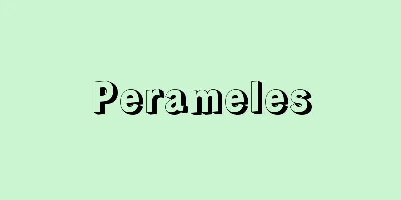 Perameles