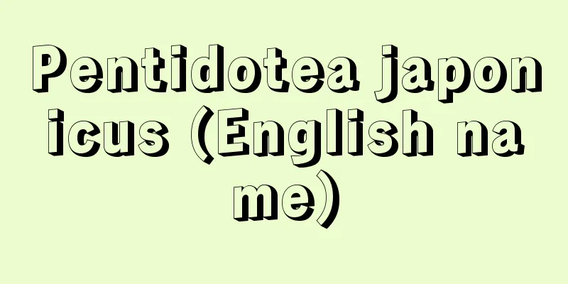 Pentidotea japonicus (English name)